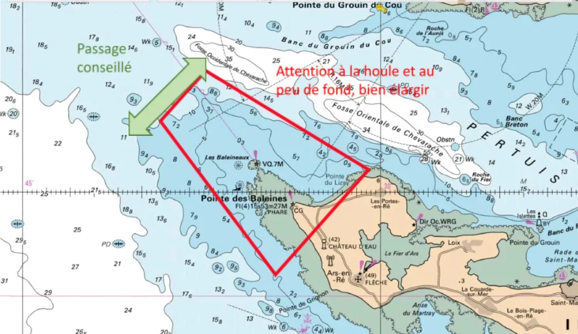 Carte de la pointe des Baleines