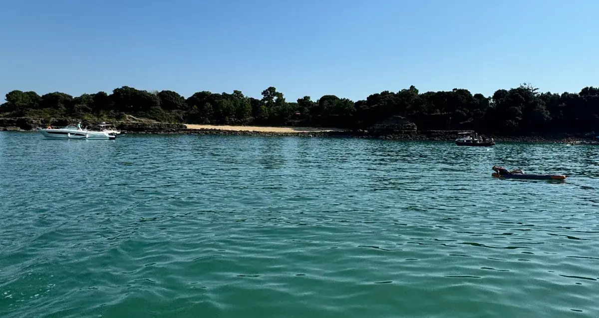Bateaux au mouillage devant Baby-Plage, sur la côte nord-est de l'île d'Aix