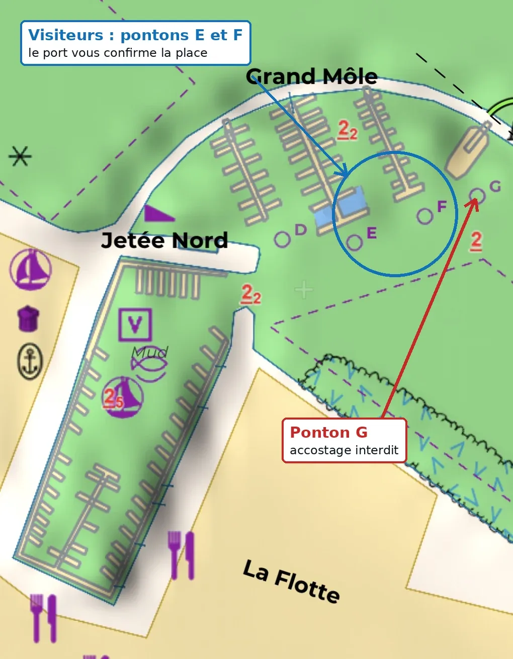 Plan du port de La Flotte et zone visiteurs